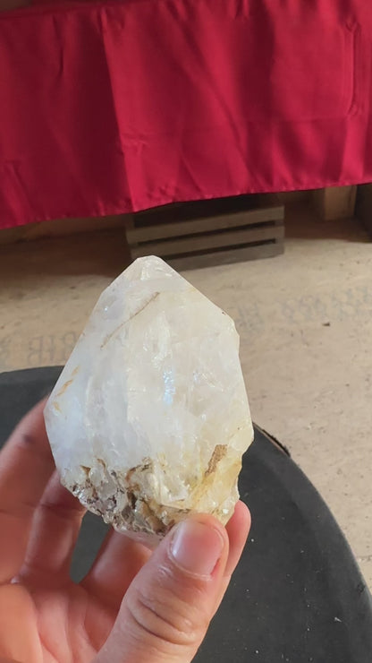 "Milky" Herkimer Diamond Crystal "Palmer" Approx.  .75 lbs